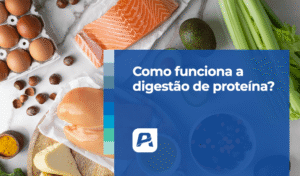 como funciona a digestão da proteína