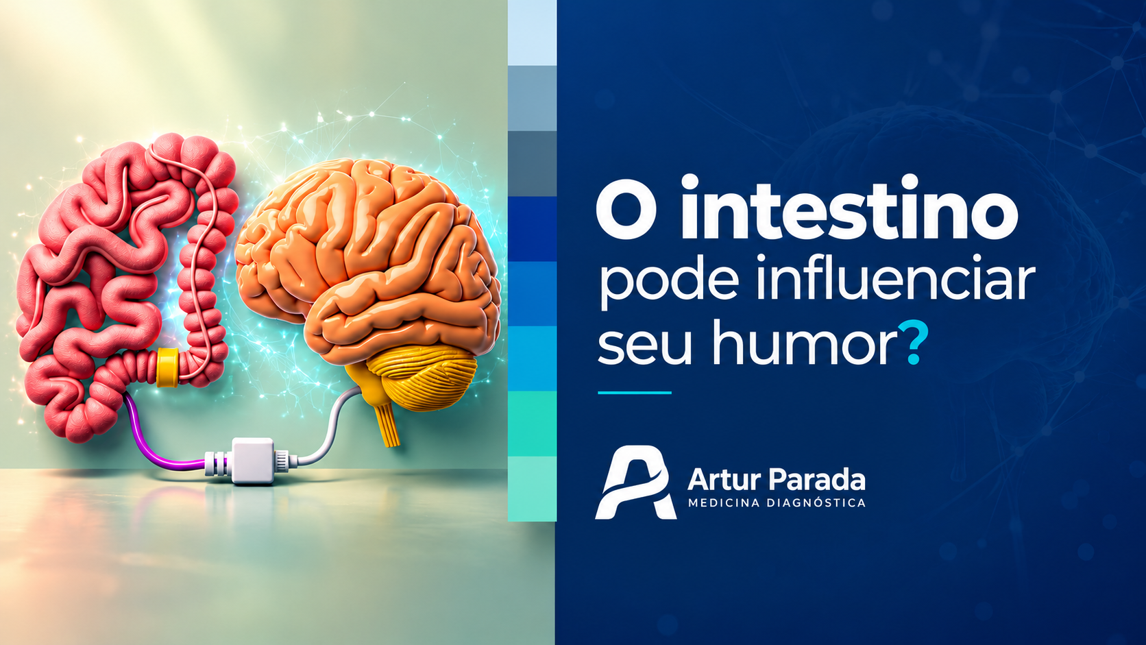 intestino e cérebro intestino e cérebro